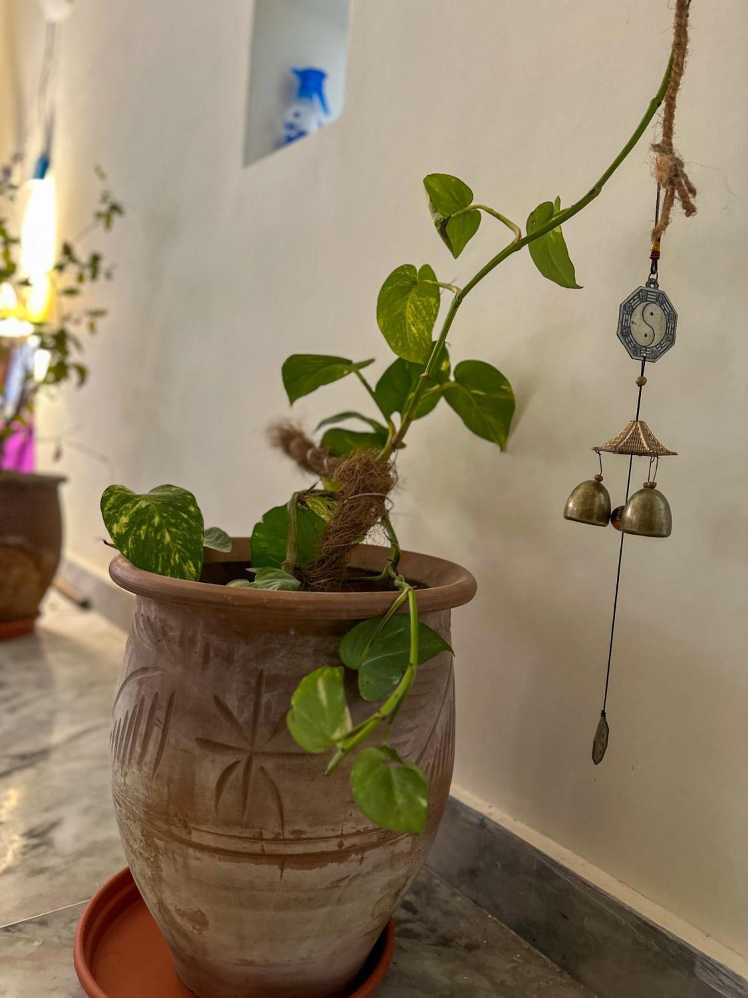 Leela Hatha Rishikesh Bagian luar foto